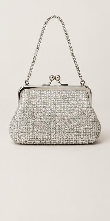 Silver evening purse